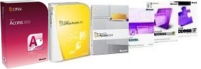 Microsoft Access Developer Products